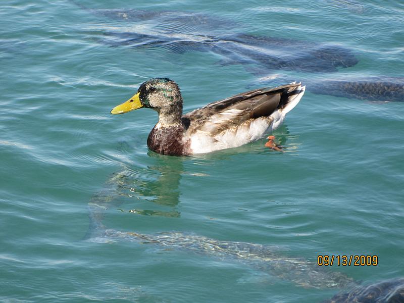 Picture 057